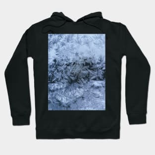 The Winter Wonderland Hoodie